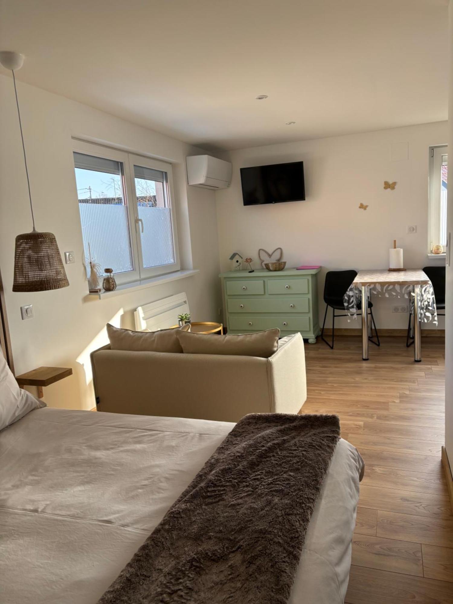 Les Petites Plumes D'Hag Apartment Haguenau Luaran gambar